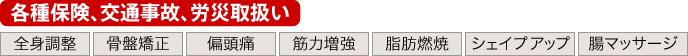 各種保険、交通事故、労災取扱い、全身調整・骨盤矯正・偏頭痛・筋力増強・脂肪燃焼・シェイプアップ・腸マッサージ